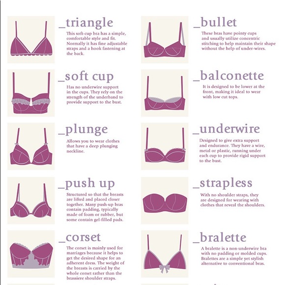 ᏴᎡᎪ ᏢᎪNᎢᏆᎬᏚ ᏆNᎢᏆᎷᎪᎢᎬᏚ Poshmark Classy Fashion Posh - Picture 7 of 10